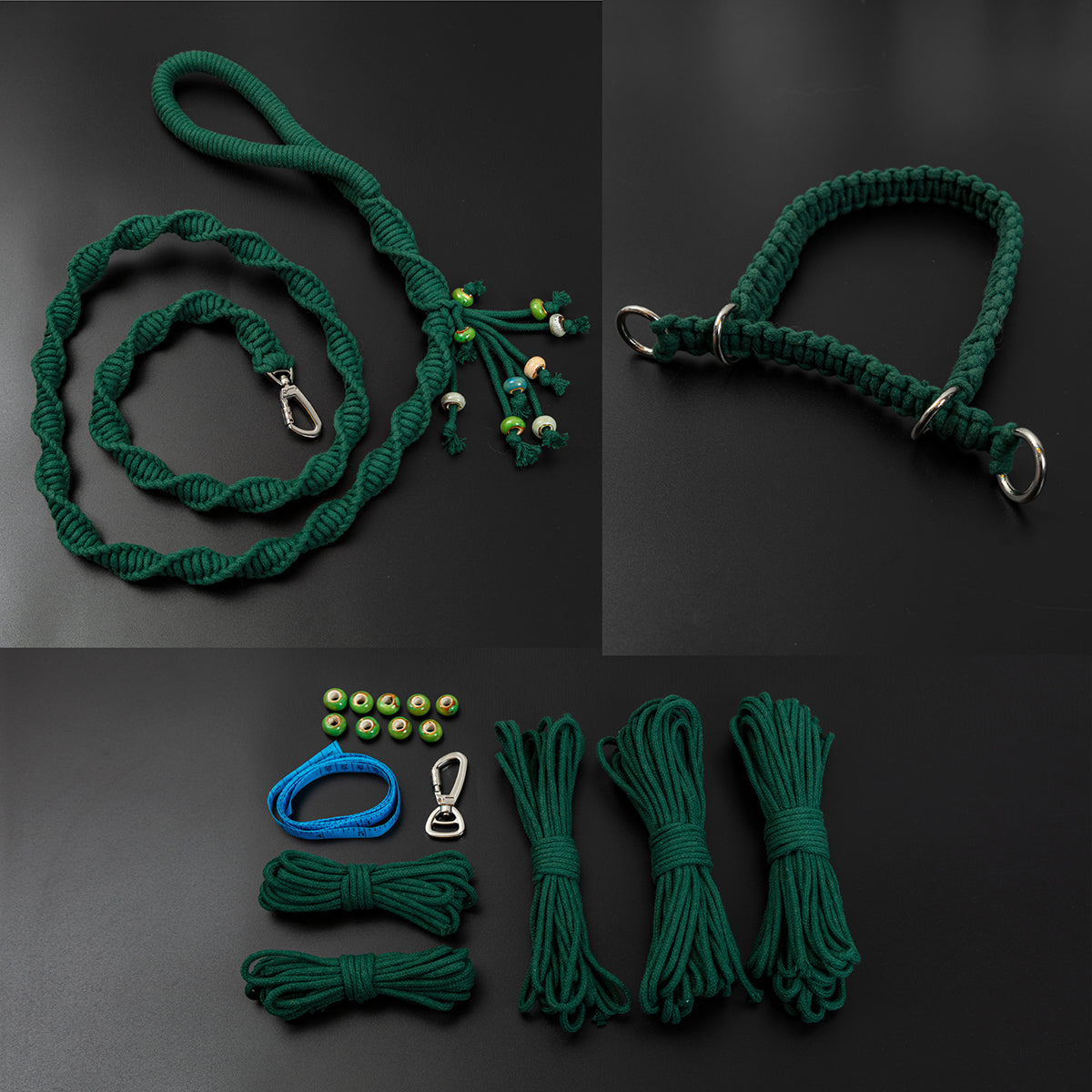 Spiral Companion Leash Kit