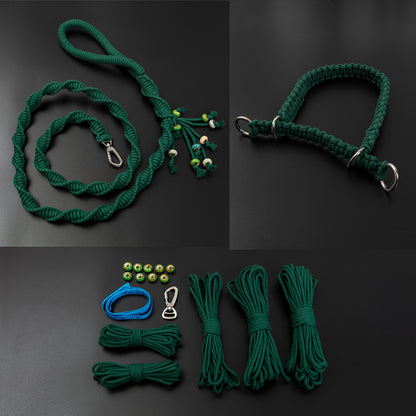 Spiral Companion Leash Kit