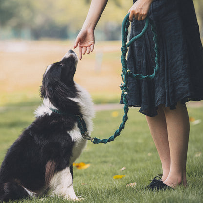 Spiral Companion Leash Kit