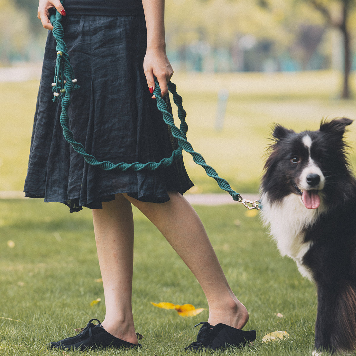 Spiral Companion Leash Kit
