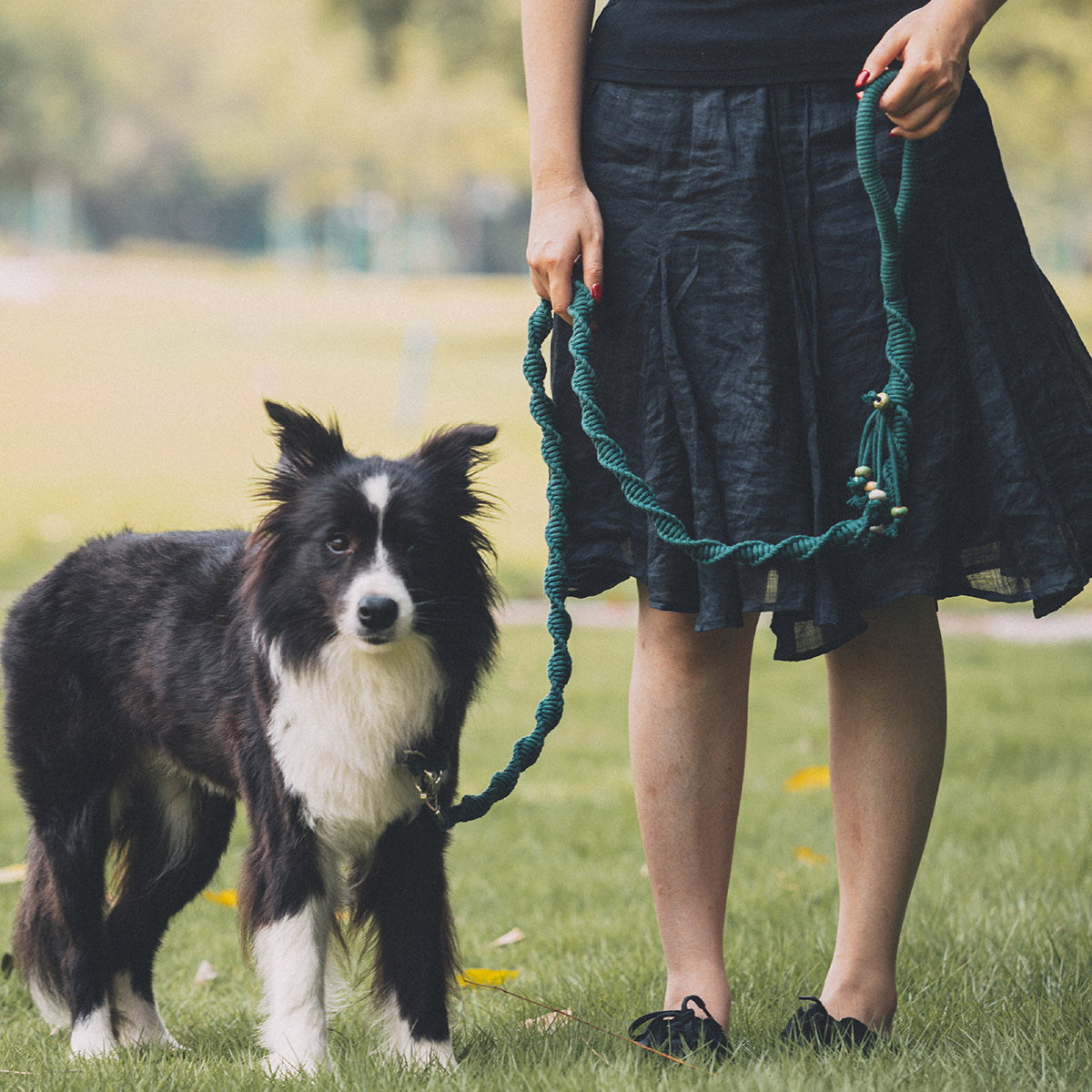 Spiral Companion Leash Kit