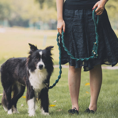 Spiral Companion Leash Kit