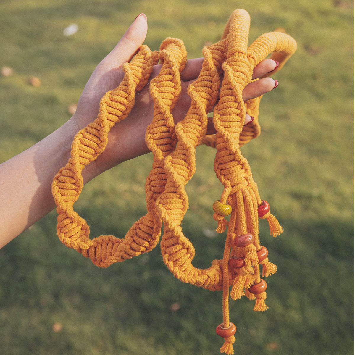 Spiral Companion Leash Kit