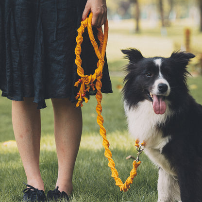 Mustard Yellow Lifestyle - Spiral Companion Leash Kit