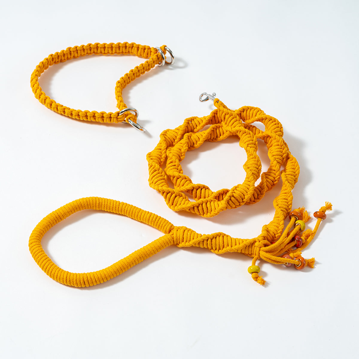 Spiral Companion Leash Kit