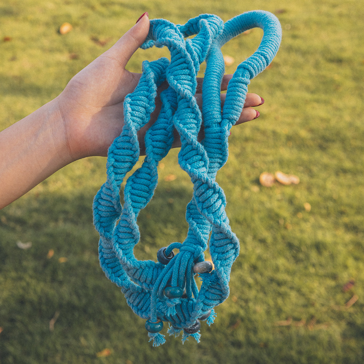 Spiral Companion Leash Kit
