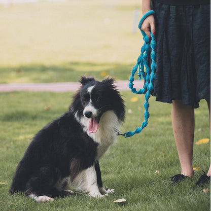 Spiral Companion Leash Kit