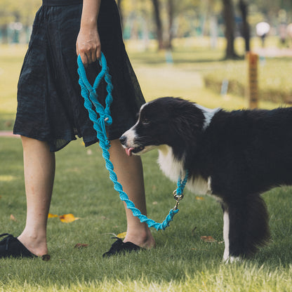 Turquoise Lifestyle - Spiral Companion Leash Kit