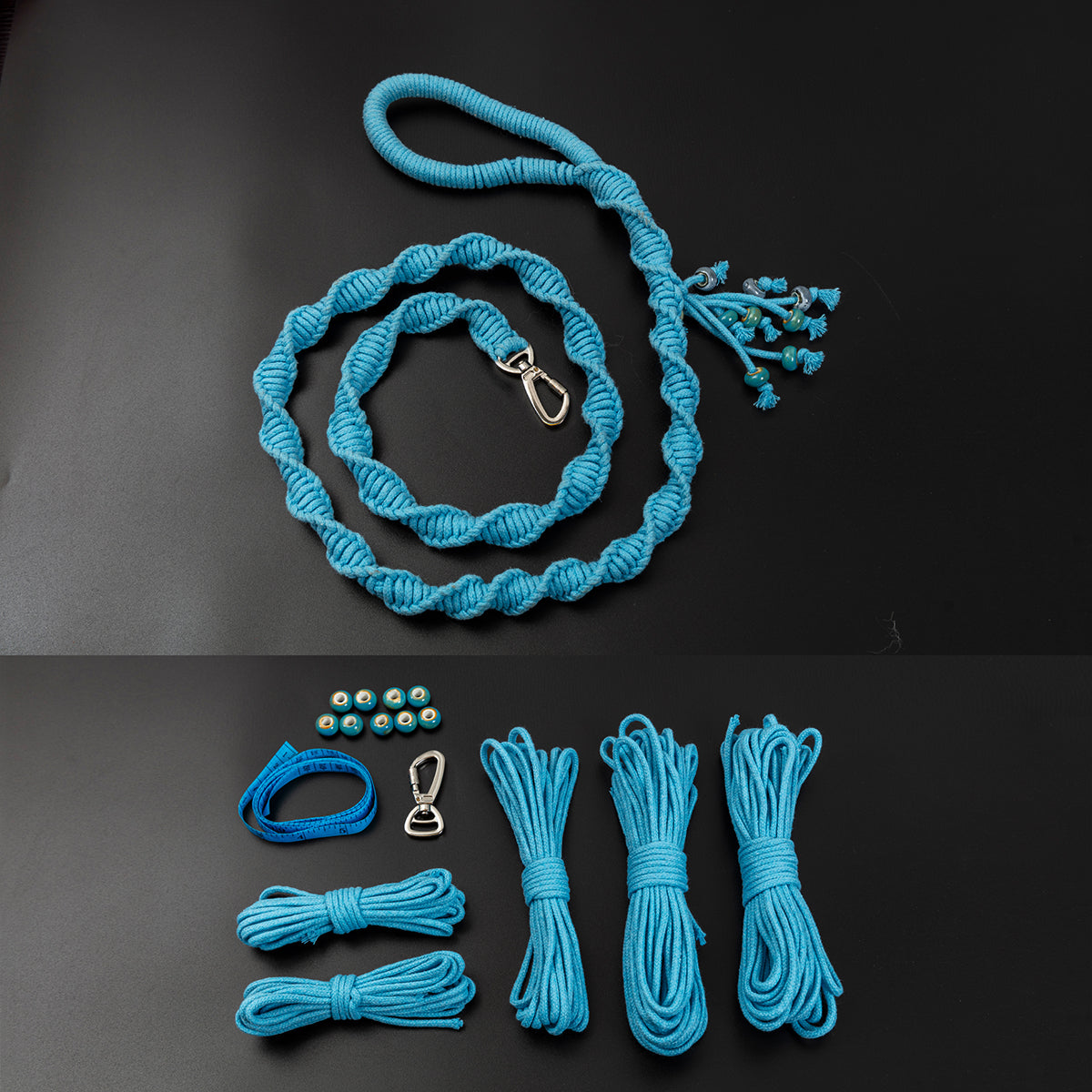 Spiral Companion Leash Kit