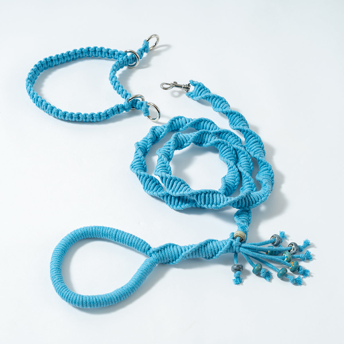 Spiral Companion Leash Kit